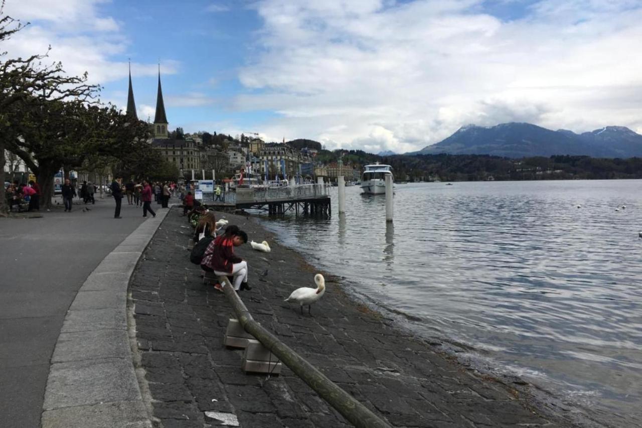 Affordable Rooms In Heart Of Luzern Eksteriør billede
